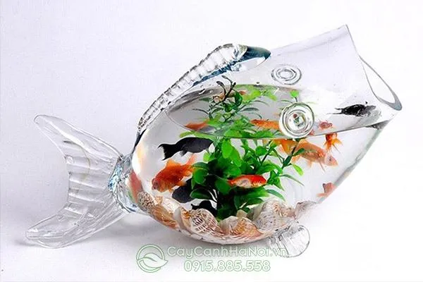 Hồ cá tiểu cảnh mini nhỏ gọn trang trí bàn làm việc