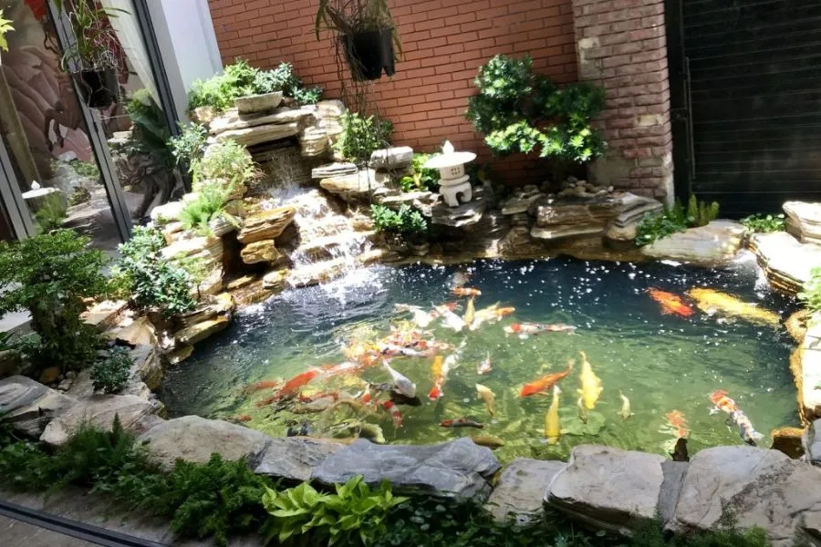 Hồ cá tiểu cảnh nhỏ đẹp với hòn non bộ và cây phong thủy mang lại cảm giác mát mẻ, dễ chịu