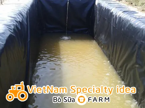Hồ cá xi măng được lót màng chống thấm HDPE, giải pháp tối ưu ngăn rỉ nước và bền vững