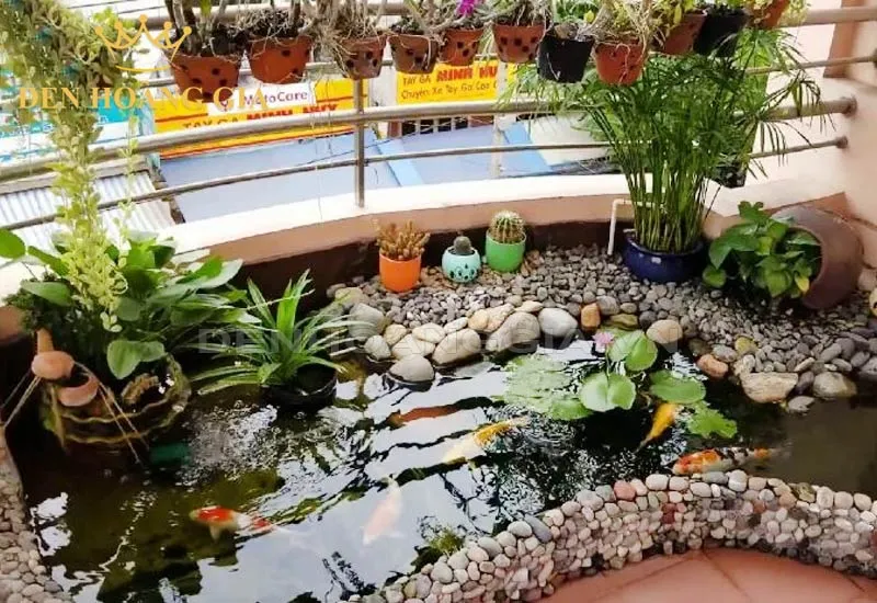 Hồ cá xi măng trên sân thượng