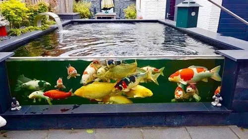 Hồ kính nuôi cá Koi với thiết kế hiện đại, phù hợp không gian sống nhỏ