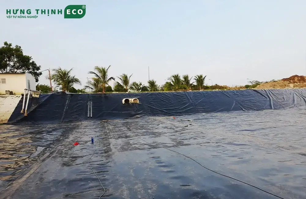 Hồ nuôi cá lót bạt HDPE 1mm giúp ngăn ngừa thất thoát nước và duy trì chất lượng môi trường thủy sản