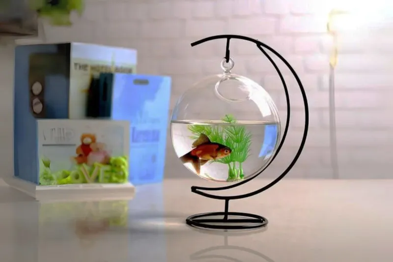 Hồ thủy sinh dạng treo tương đối dễ thiết lập và bảo trì