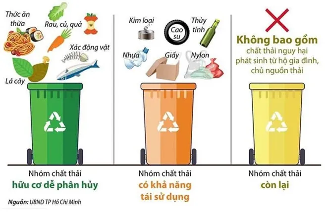Học sinh phân loại rác hữu cơ vào thùng xanh