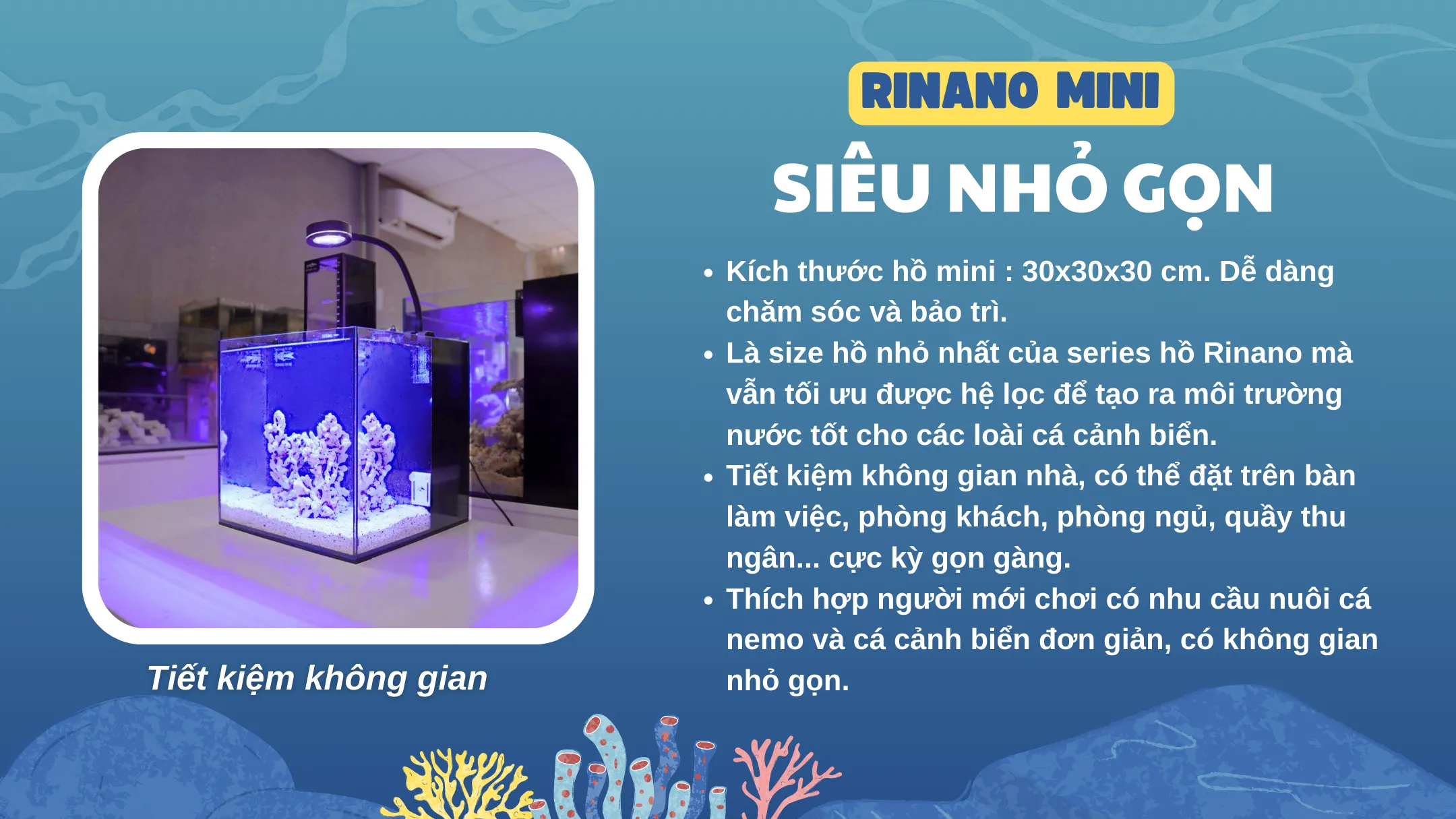 Hướng dẫn lắp đặt đơn giản hồ cá biển mini cho người mới chơi