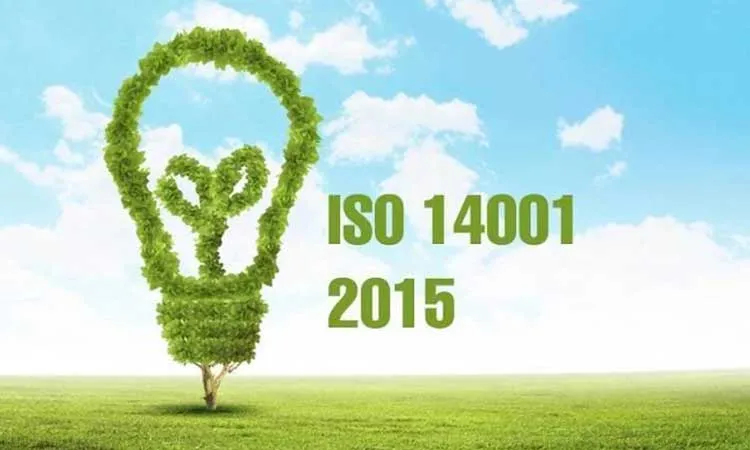 ISO 14001 là tiêu chuẩn quản lý môi trường cốt lõi, hướng dẫn thực hành bền vững trong các dự án màng chống thấm HDPE