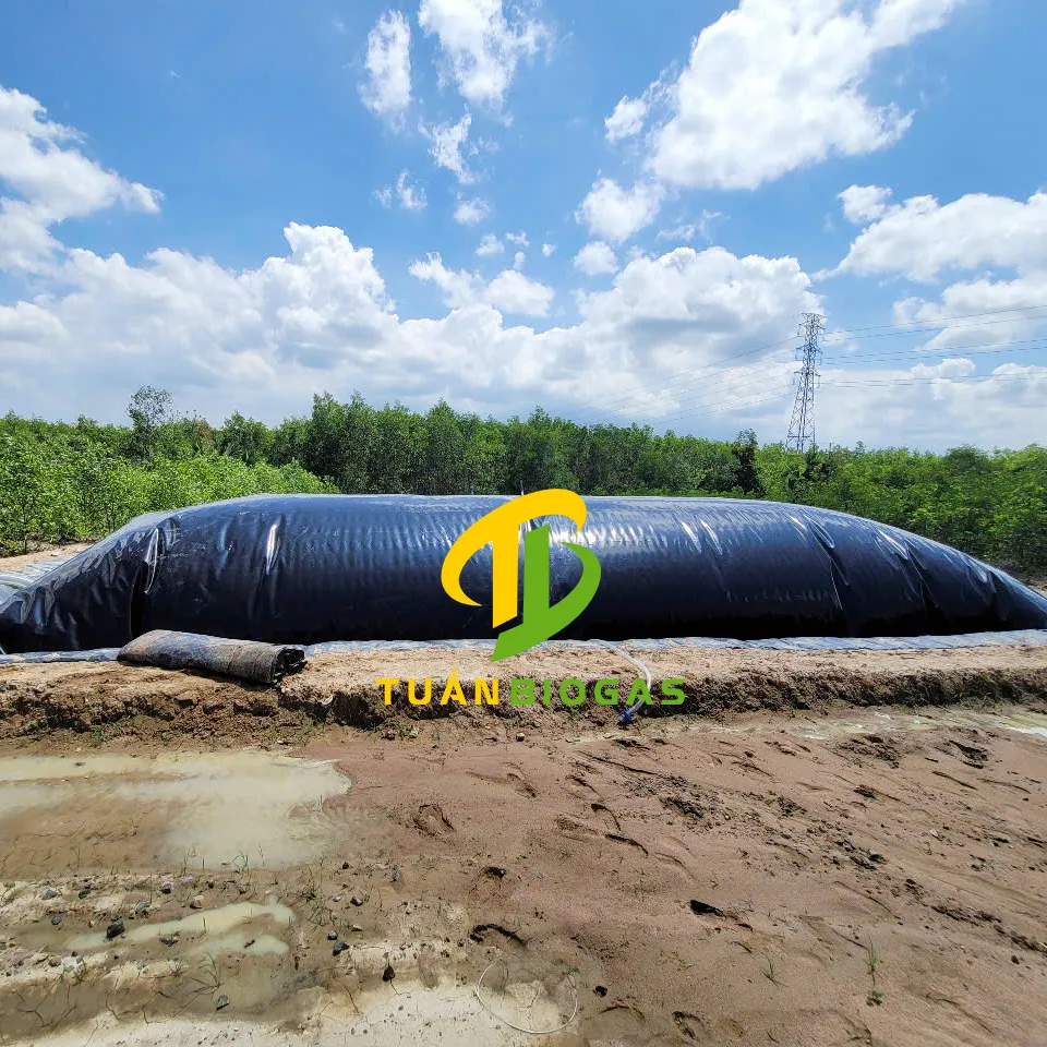 Khí biogas được tạo ra và tích tụ trong phần nổi của túi, sẵn sàng cho việc thu hồi và sử dụng