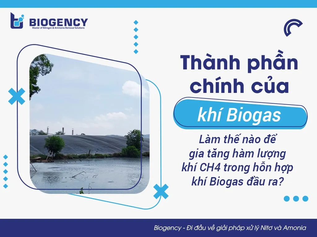 Khí biogas: Nguồn năng lượng sạch và ứng dụng trong môi trường
