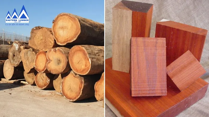 Kho hàng gỗ lim với nhiều quy cách, sẵn sàng đáp ứng nhu cầu thị trường, ảnh hưởng đến báo giá gỗ lim