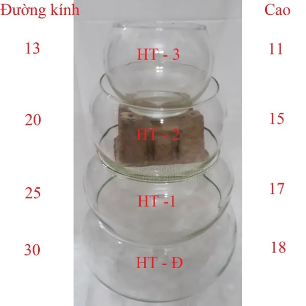 Kích thước bể thủy tinh nuôi cá tròn truyền thống