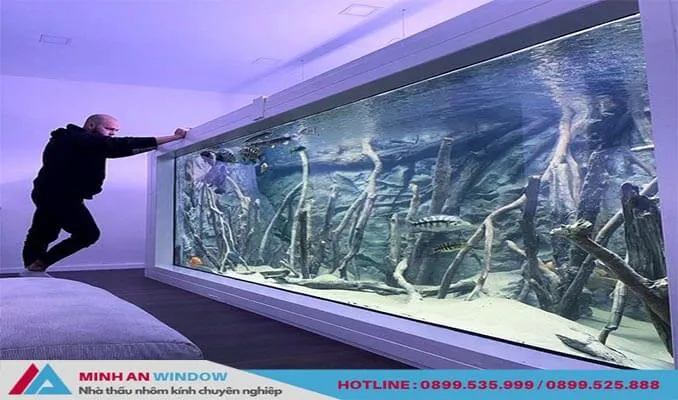 Kính 8mm chất lượng cao cho các loại hồ cá