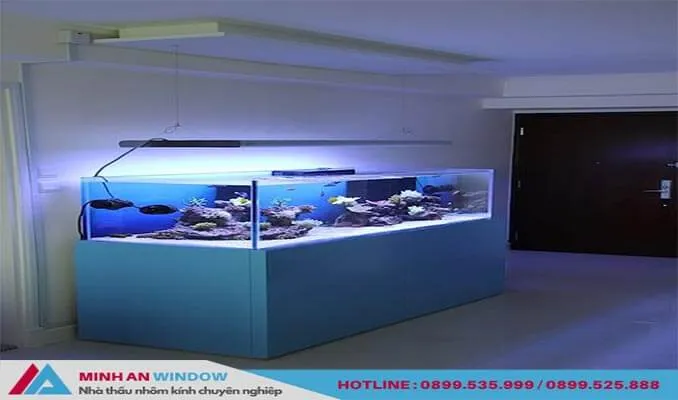 Kính cường lực 8mm đảm bảo an toàn cho hồ cá lớn