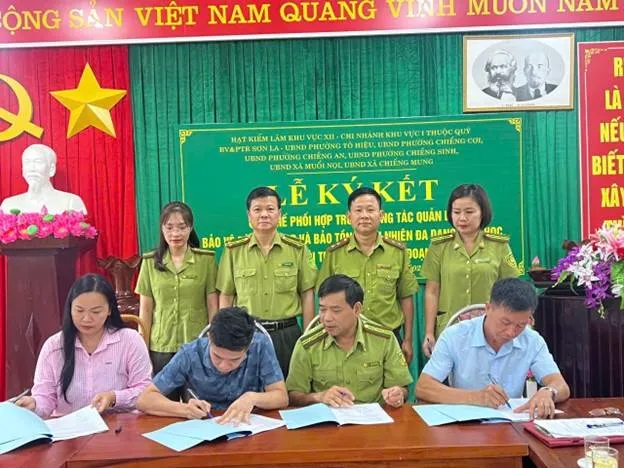 Ký kết quy chế phối hợp bảo vệ môi trường rừng và chi trả dịch vụ rừng
