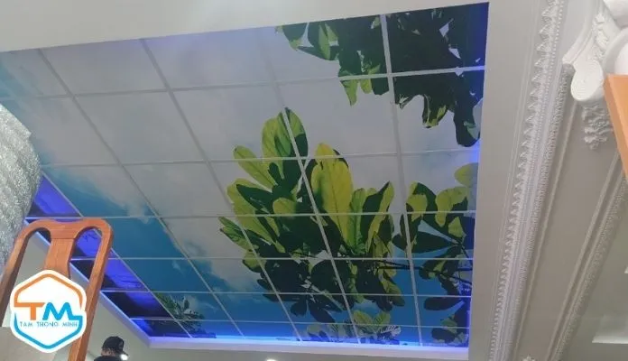 La phông tấm nhựa 3D - trang trí nội thất