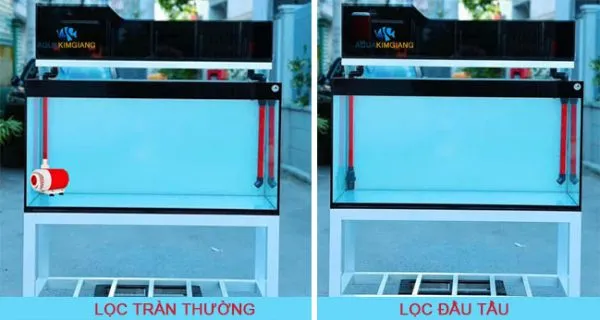 Lọc nước tuần hoàn hiệu quả cho hồ cá cảnh bạt HDPE