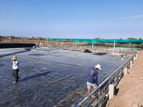 Lớp bạt nhựa HDPE làm màng chống thấm, giúp ngăn nước thải ngấm vào môi trường