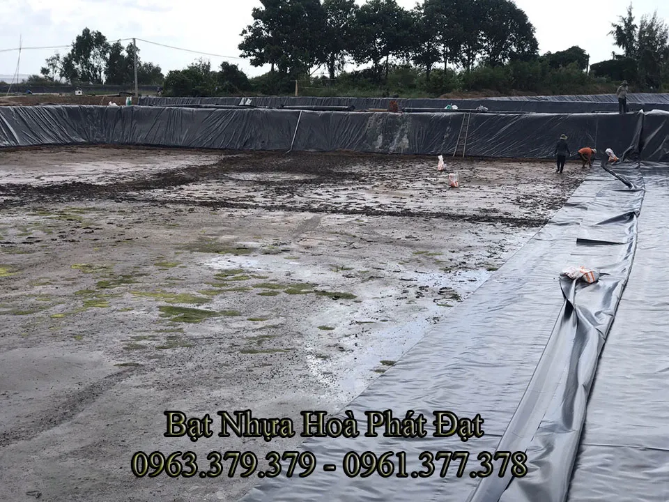 Lót bạt HDPE cho ao nuôi cá quy mô lớn