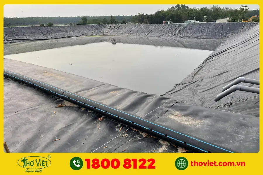 Lót bạt HDPE chống thấm tuyệt đối cho hồ cá sân thượng và các công trình địa kỹ thuật