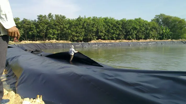 lót đáy ao nuôi thủy sản bằng màng HDPE