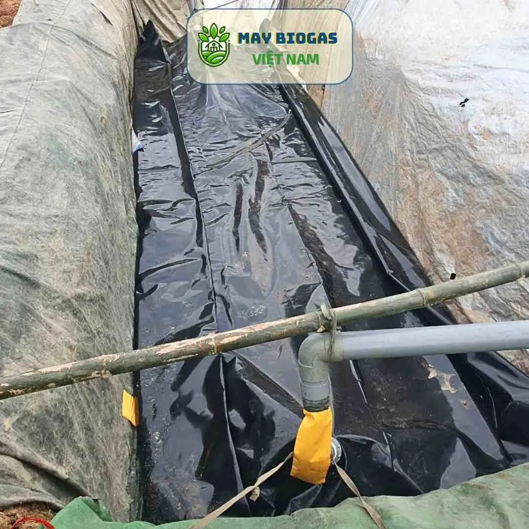 Màng bạt HDPE với khả năng chống thấm tuyệt đối, đảm bảo hiệu quả cho hệ thống biogas trải bạt