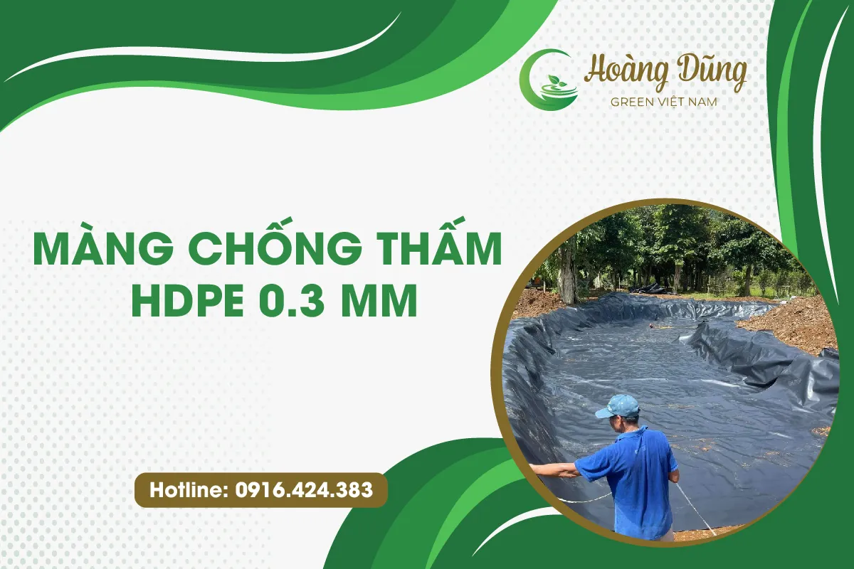 Màng chống thấm HDPE 0.3mm được sử dụng lót đáy ao nuôi trồng thủy sản, minh họa cho ứng dụng địa kỹ thuật môi trường.