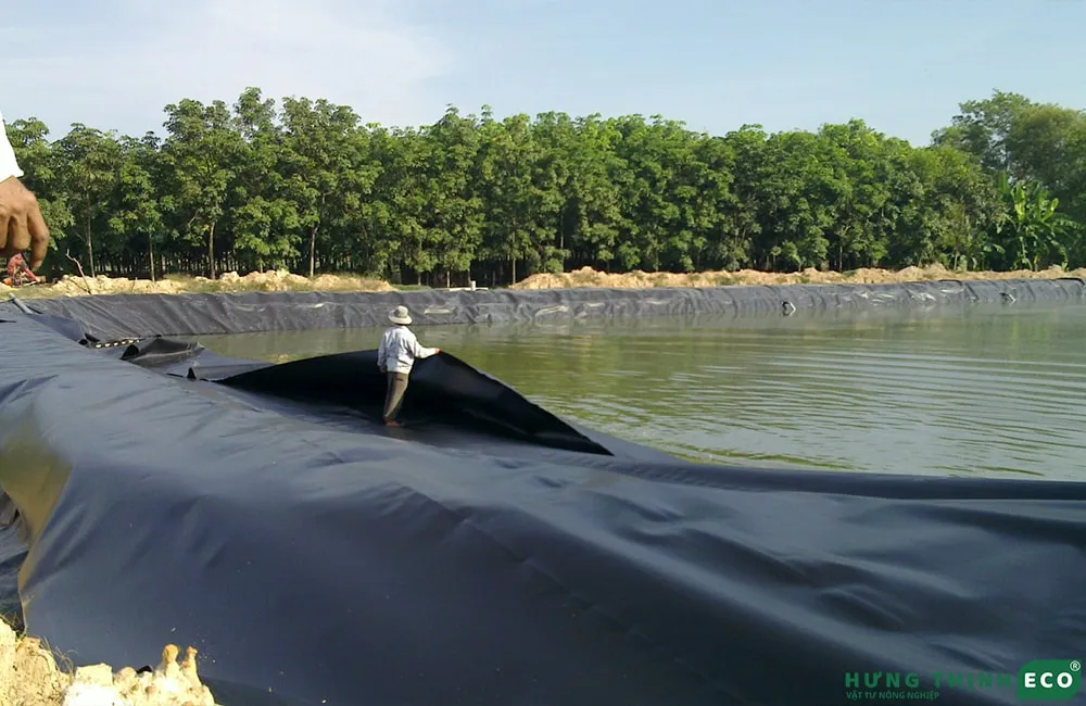 Màng chống thấm HDPE 0.5mm được thi công lót đáy cho hồ nuôi cá cảnh, đảm bảo chống thấm tuyệt đối
