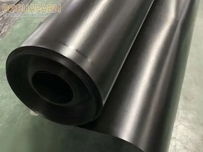 Màng chống thấm HDPE chất lượng cao cho ao hồ