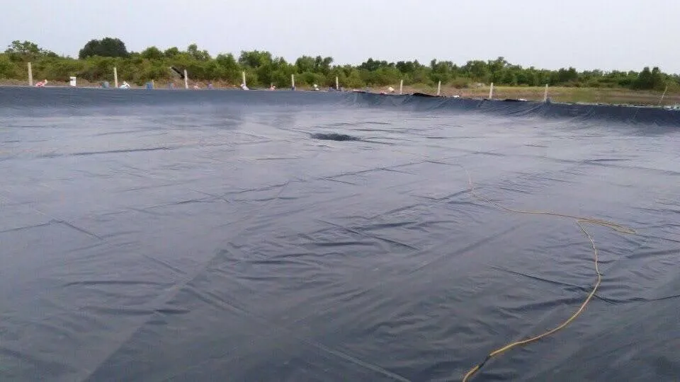 Màng chống thấm HDPE cho dự án môi trường chuyên biệt