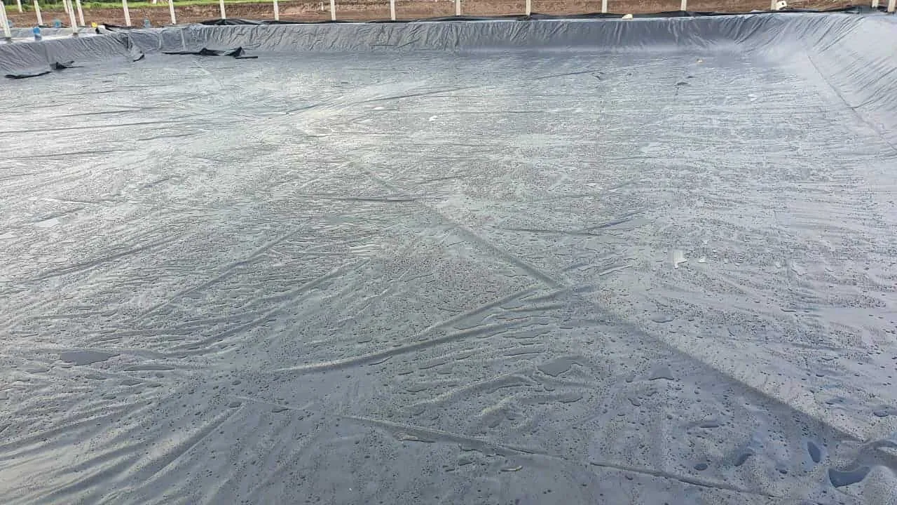 Màng chống thấm HDPE được trải trên diện rộng