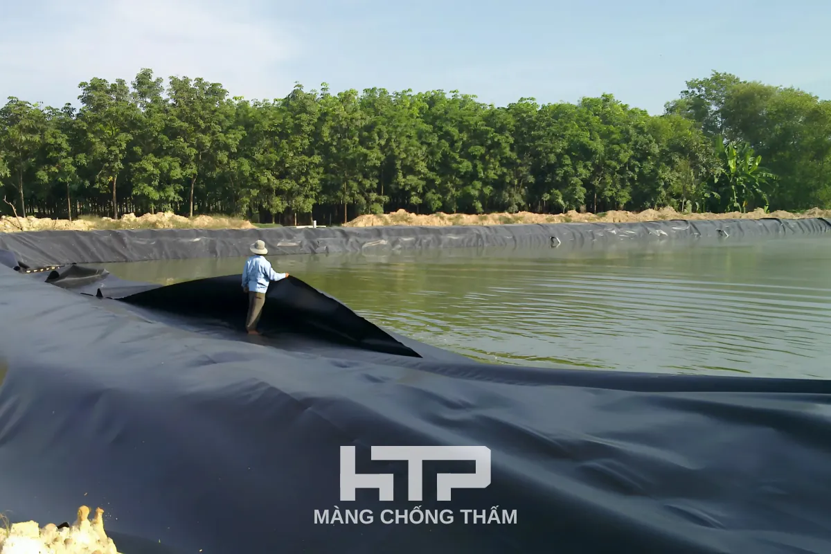 Màng chống thấm HDPE thiết kế đặc biệt cho các công trình ao hồ nuôi trồng thủy sản và cảnh quan
