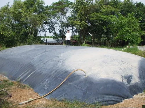 màng HDPE cho hồ biogas