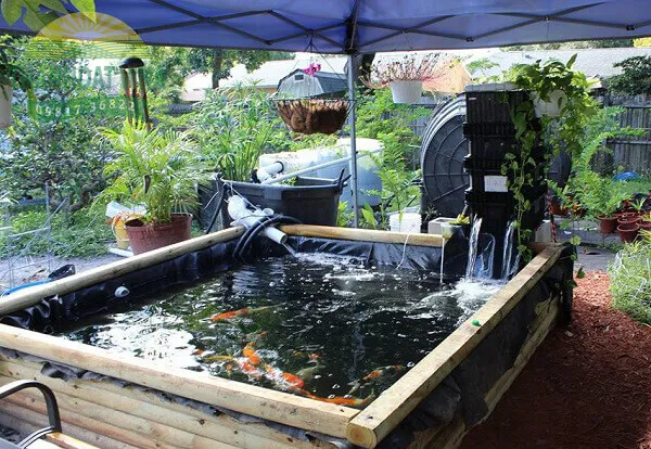 Màng HDPE đen đang được trải lót bờ ao, đảm bảo yêu cầu chống thấm hiệu quả cho công trình thủy sản