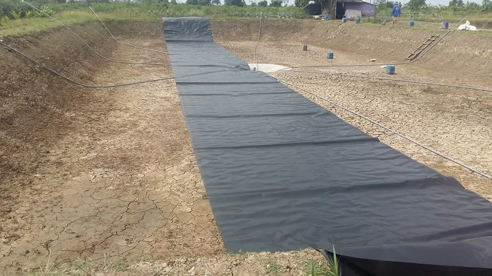 Màng HDPE nhập khẩu