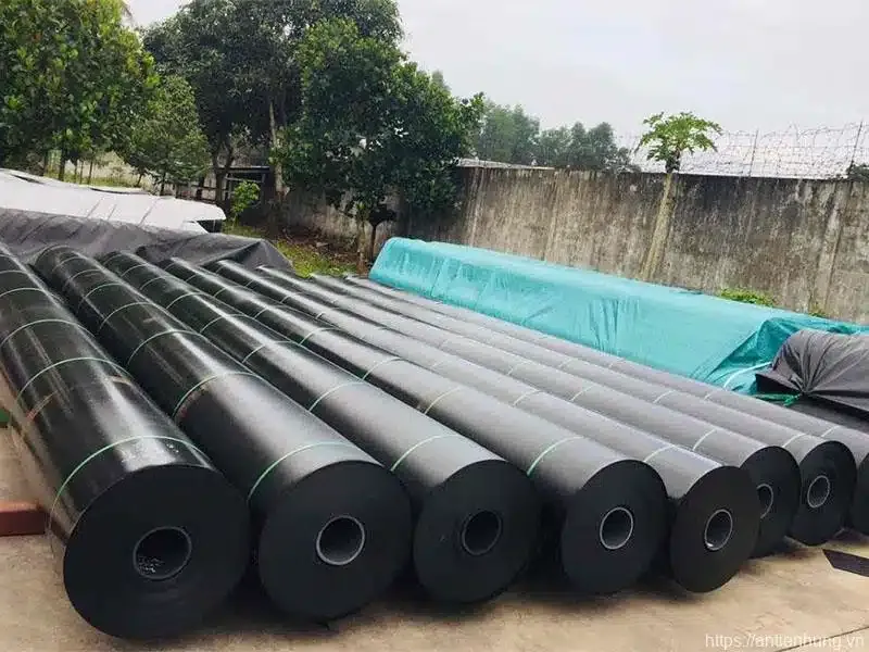 Màng HDPE Solmax màu đen với khả năng chống thấm và độ bền cao, ứng dụng trong địa kỹ thuật môi trường.