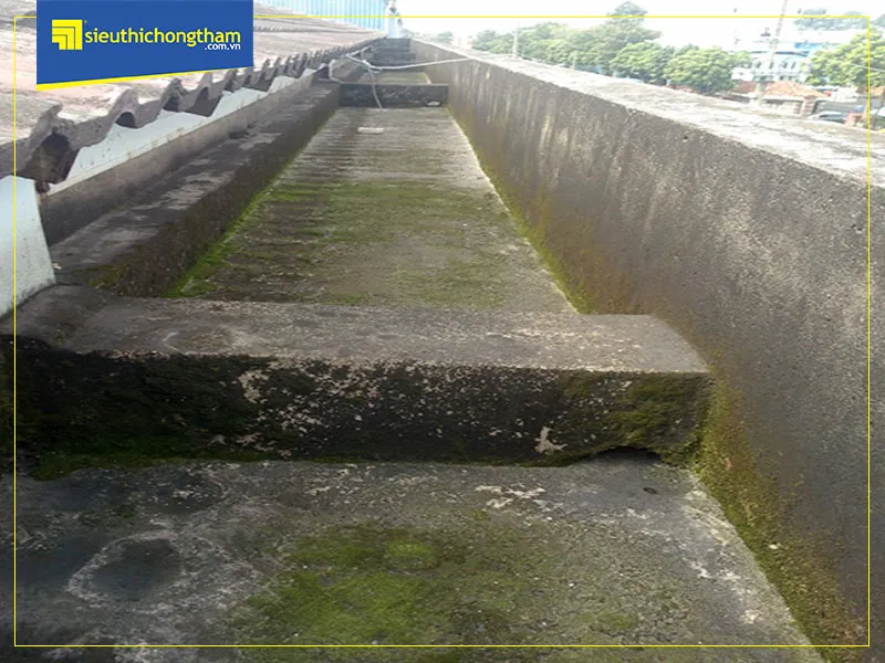 Máng nước bị thấm, rêu mốc