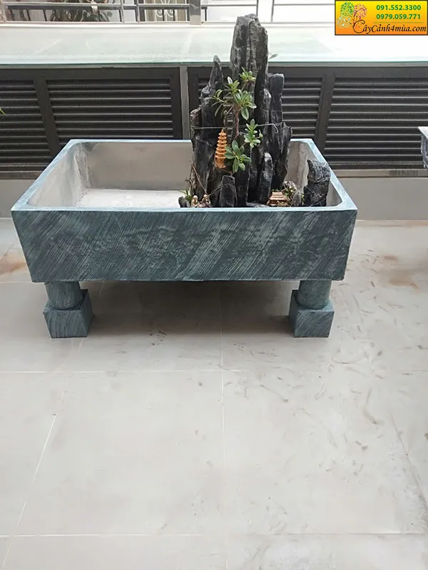 Mẫu bể cá xi măng đẹp thiết kế cho sân vườn
