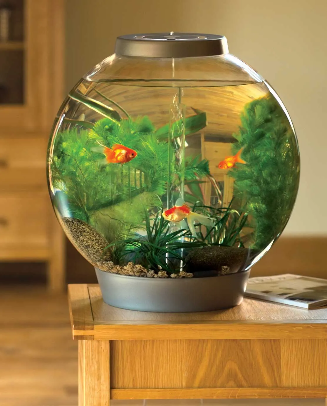 Mẫu chậu cá cảnh đẹp hình tròn hiện đại với hệ thống đèn và lọc tích hợp