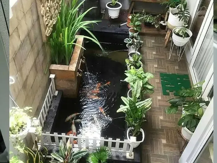 Mẫu hồ cá Koi hình chữ nhật mang lại may mắn