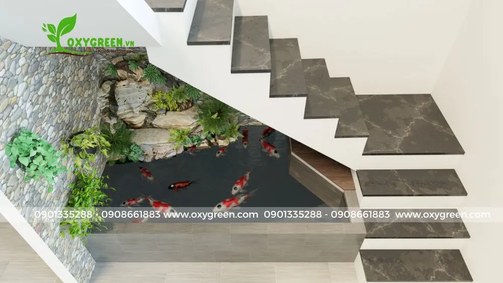 Mẫu hồ cá Koi kết hợp xi măng và kính, tạo không gian sống động