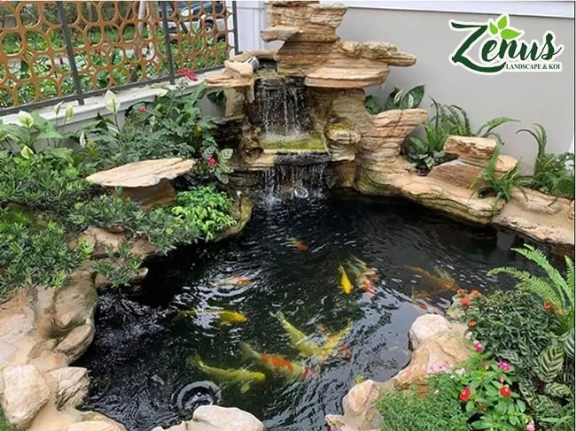 Mẫu hồ cá koi sân vườn đẹp với thiết kế thác nước ấn tượng.