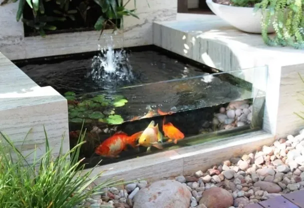 Mẫu hồ cá sân vườn nhỏ đẹp với thiết kế mini tinh tế, phù hợp không gian hẹp