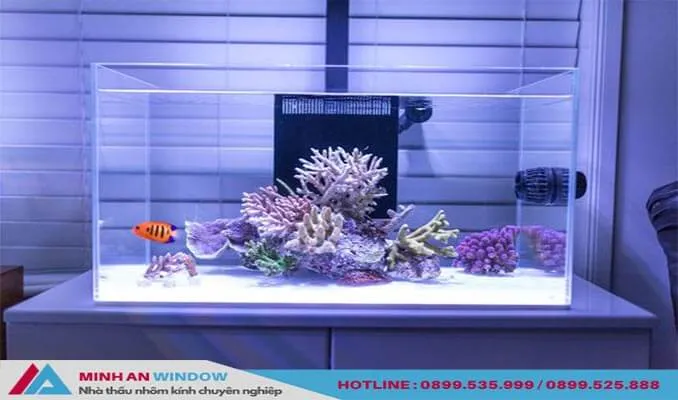Mẫu kính cường lực 8mm trắng trong phổ biến cho bể cá