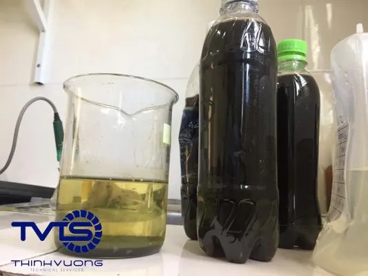 Mẫu nước rỉ rác được xử lý sơ bộ