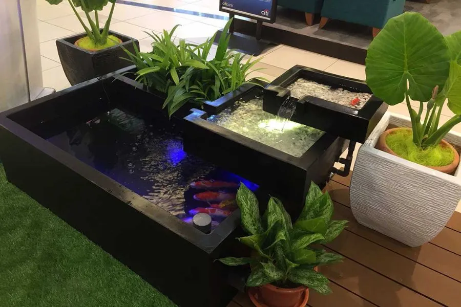 Mẫu tiểu cảnh bể cá nhỏ trong nhà