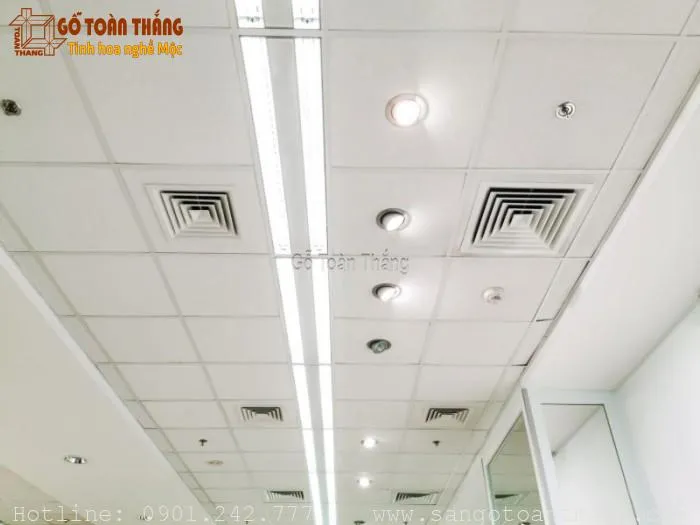 Mẫu trần nhựa thả số 03