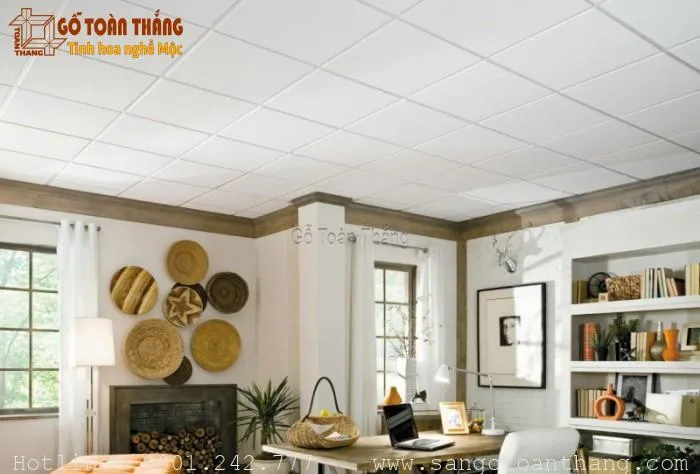 Mẫu trần nhựa thả số 07
