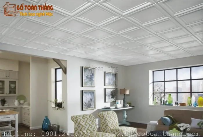 Mẫu trần nhựa thả số 09