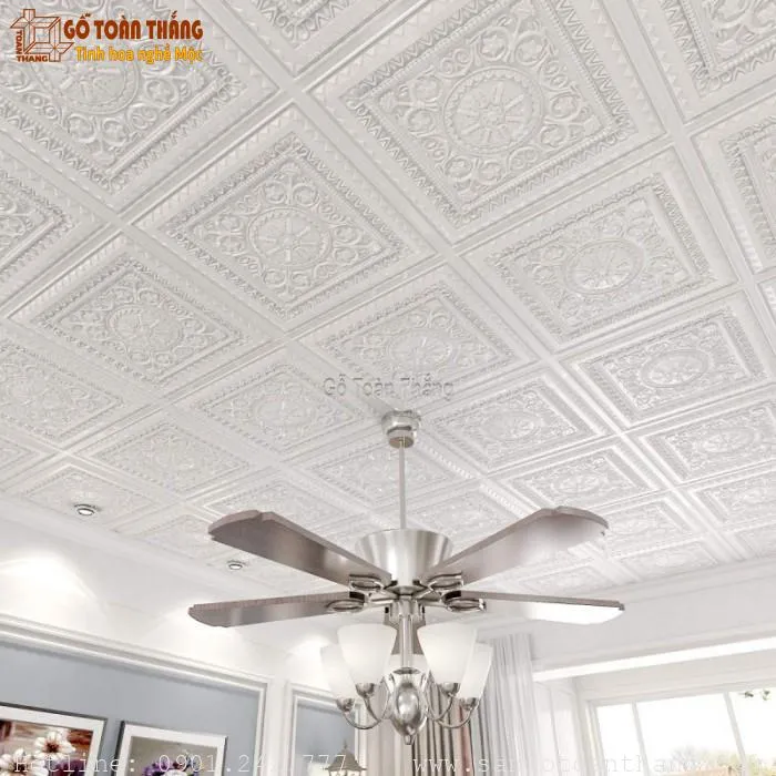 Mẫu trần nhựa thả số 10