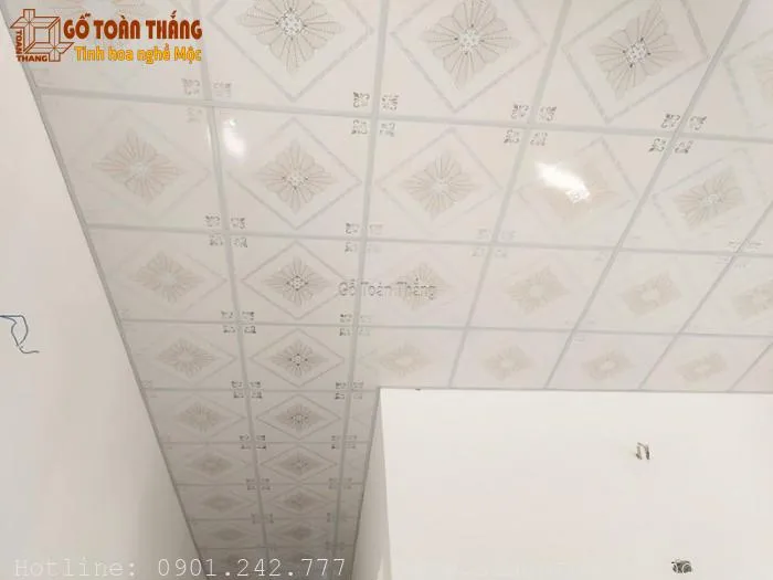 Mẫu trần nhựa thả số 13