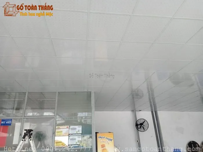 Mẫu trần nhựa thả số 14